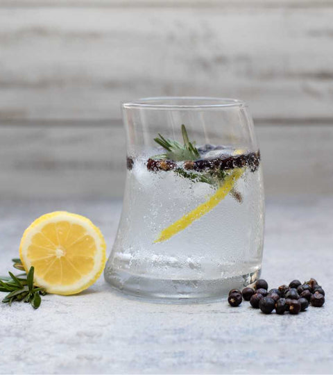 Classic Cape Dry G&T