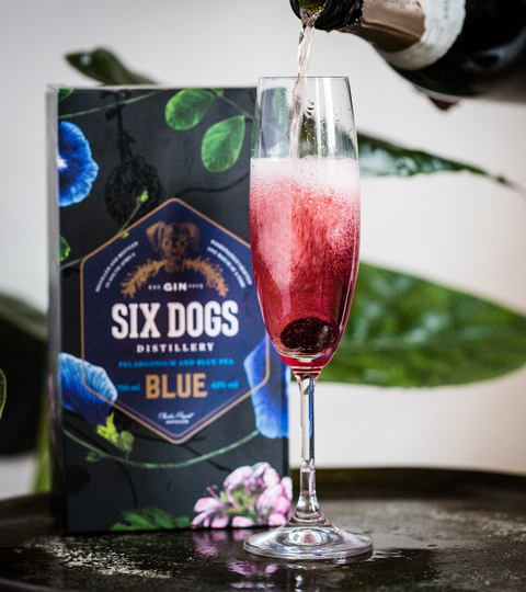 Six Dogs Queen of the Pack