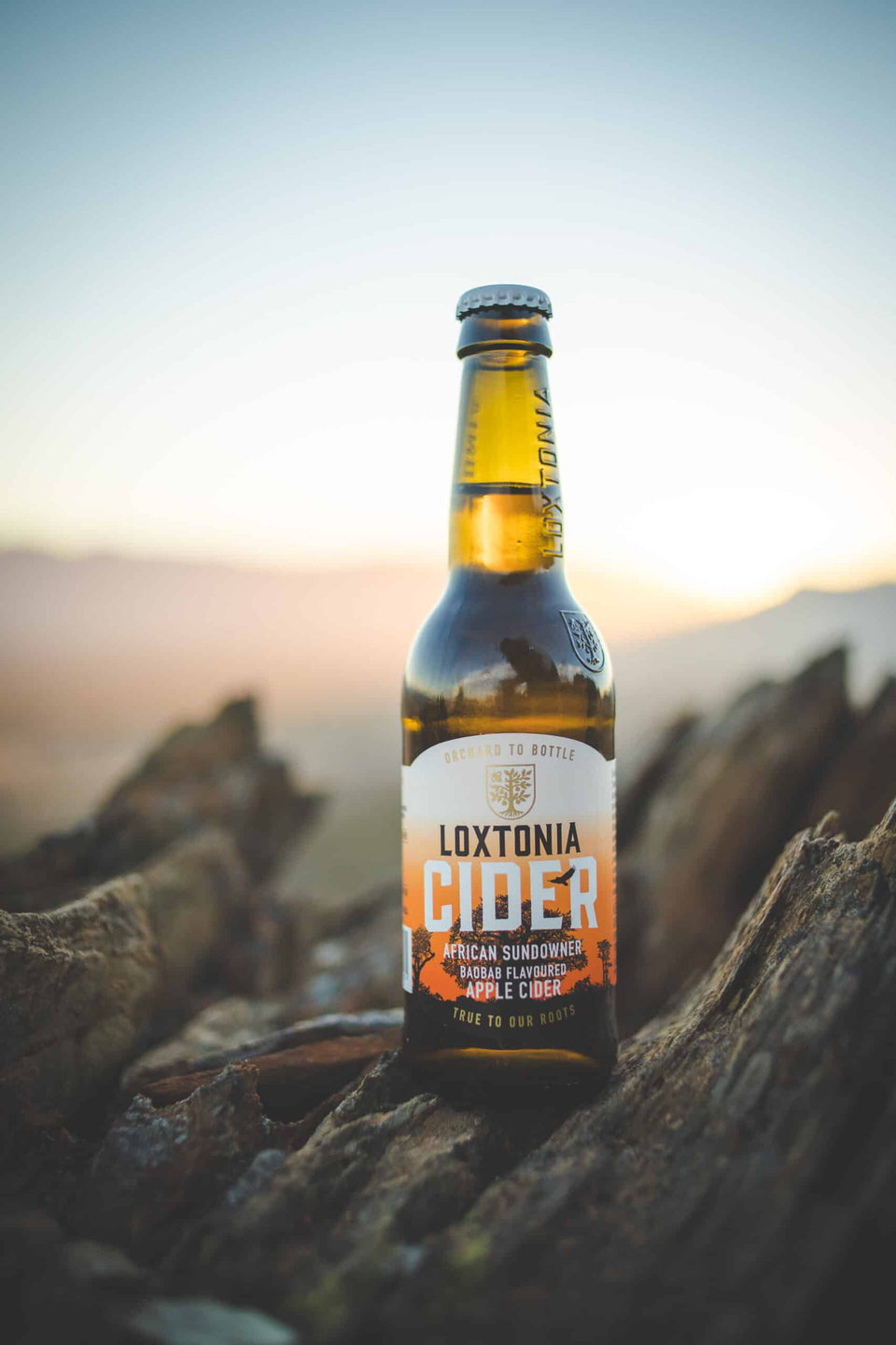 Loxtonia Sundowner Apple Cider 5% Alc/Vol 24 x 340ml