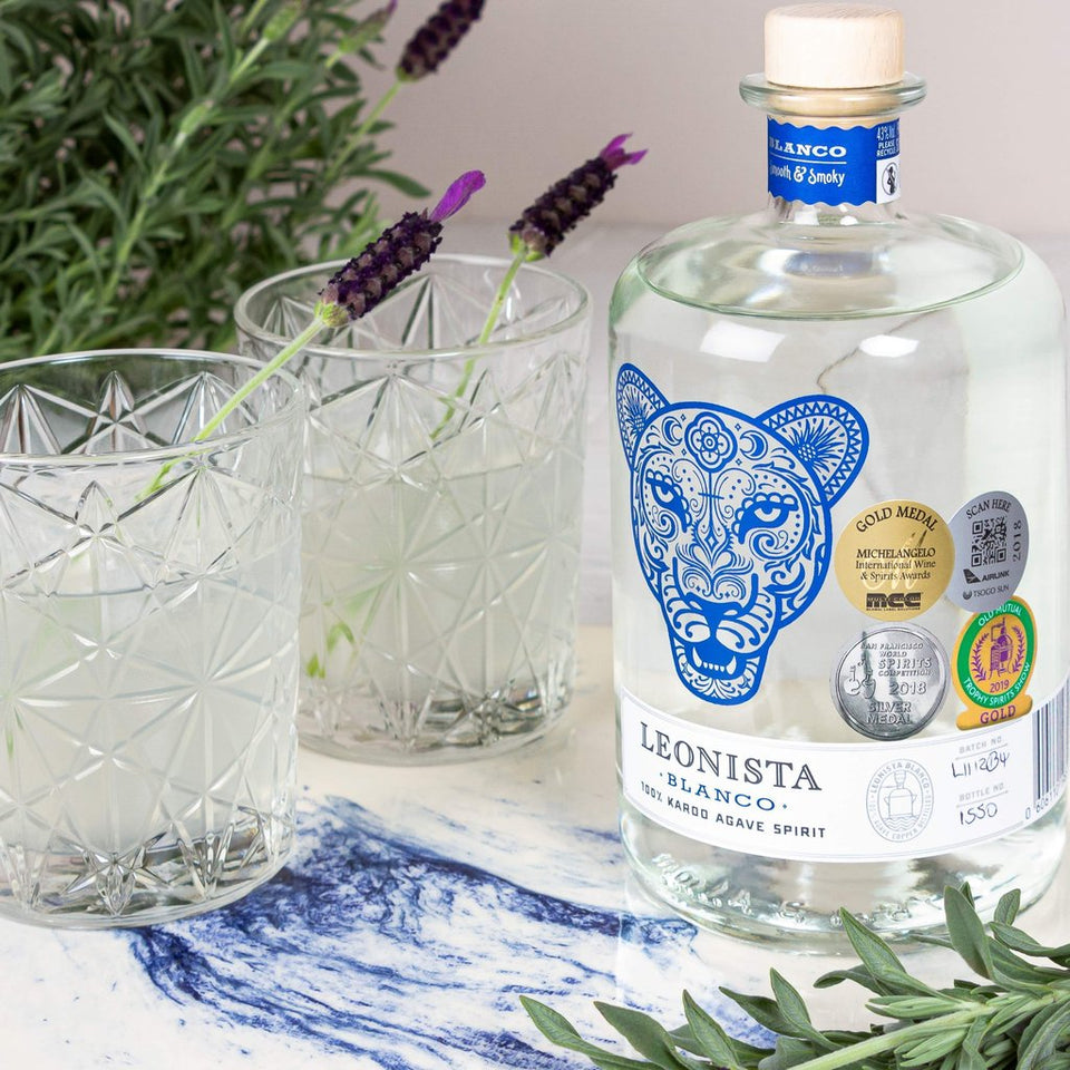 Leonista Blanco Karoo Agave Spirit 43 % 1 x 750ml