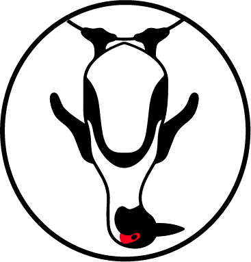 Deep South Cape Dry Gin 43%  1 x 200ml