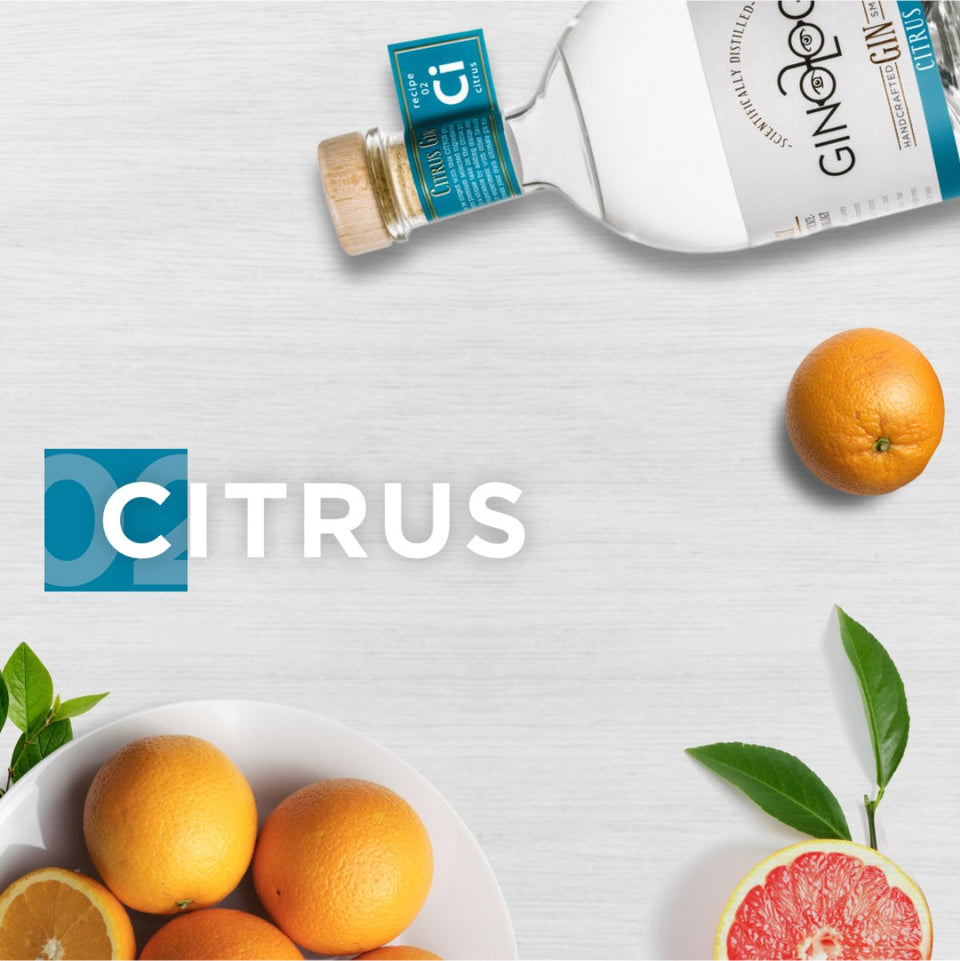 Ginologist Citrus Gin 40% 700ml