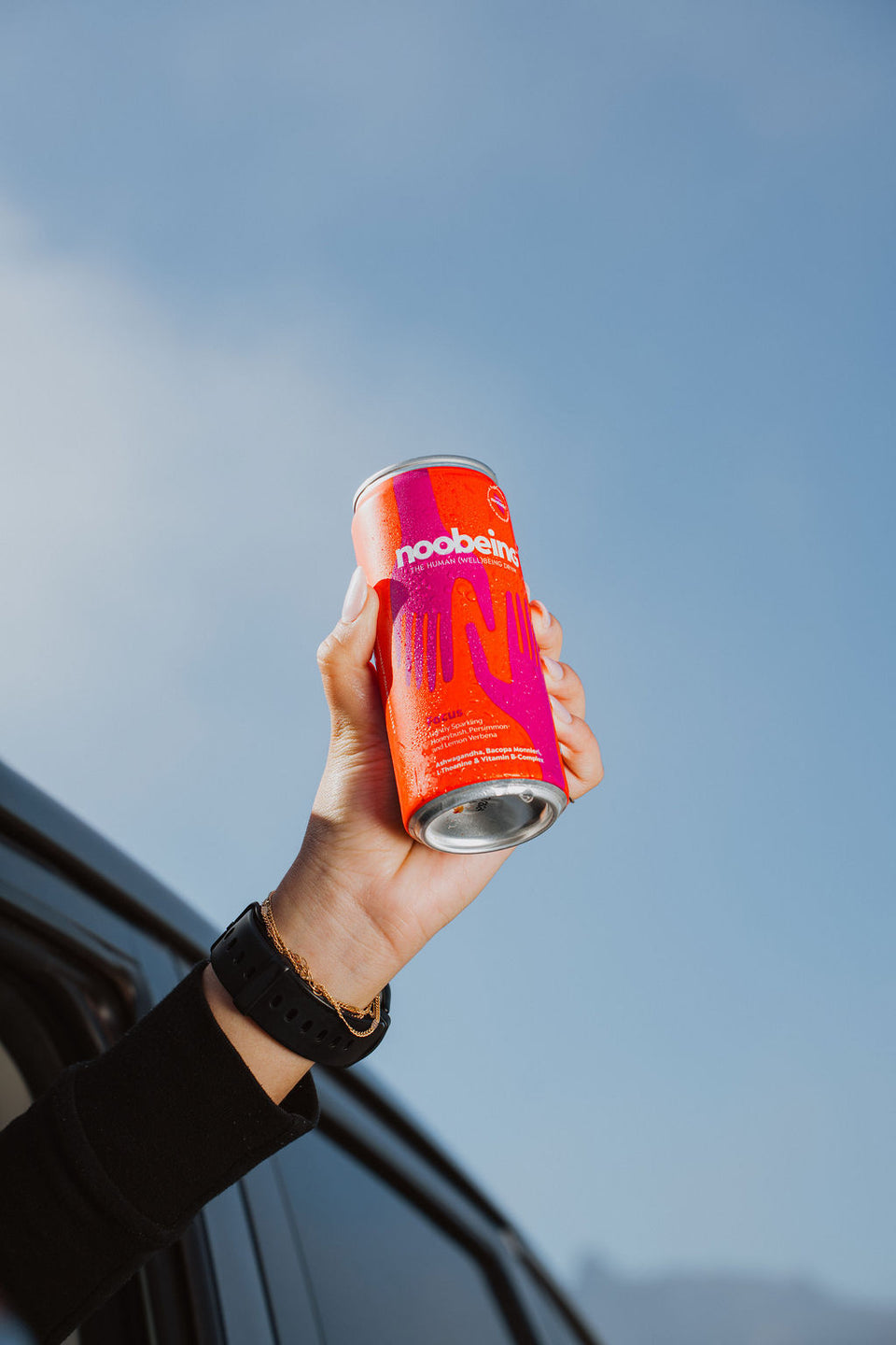 Noobeing Focus Wellbeing Drink 12 x 300ml Cans